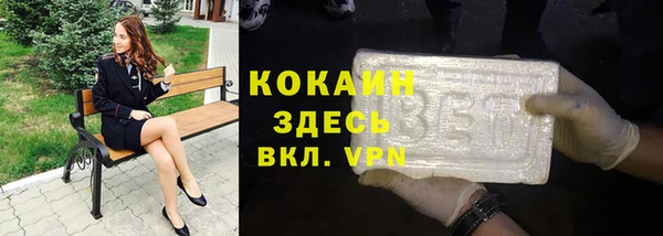 индика Алексин