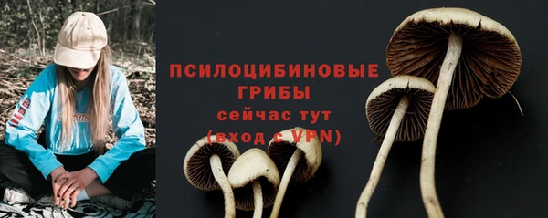 стафф Абинск