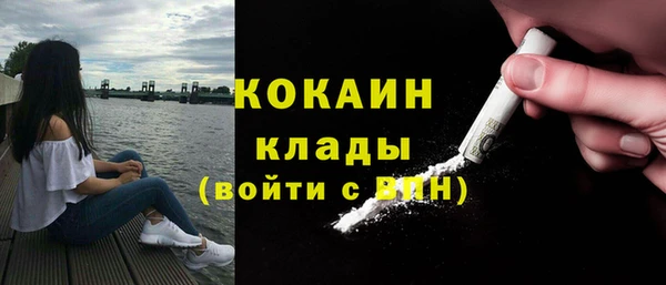 индика Алексин