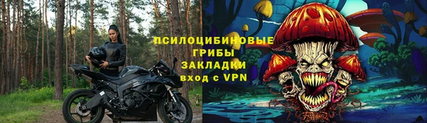 стафф Абинск