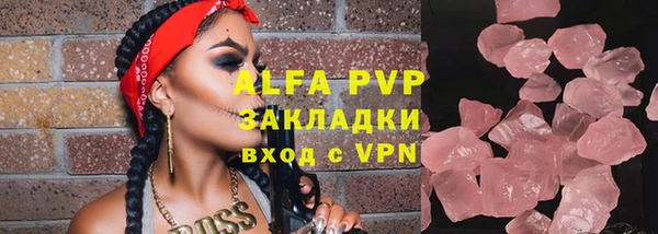 индика Алексин