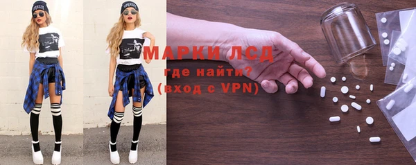 индика Алексин