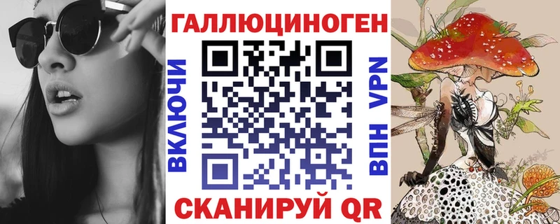что такое   ОМГ ОМГ как войти  Галлюциногенные грибы Psilocybine cubensis  Сольвычегодск 